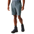 Stormy Weather-Ash - Lifestyle - Regatta Mens Eldes Walking Shorts