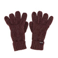 Purple - Front - Regatta Womens-Ladies Winter Gloves