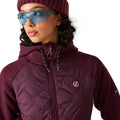 Fig - Lifestyle - Dare 2B Womens-Ladies Torrek Flexy Hybrid Jacket