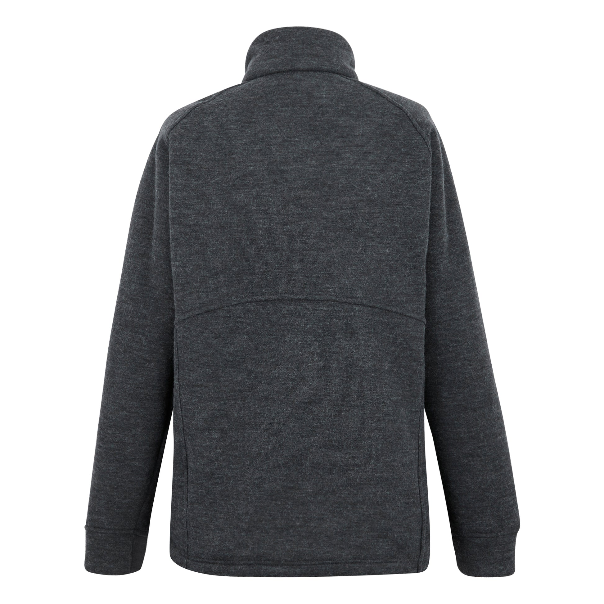 Seal Grey - Back - Regatta Womens-Ladies Emilde Full Zip Fleece Jacket