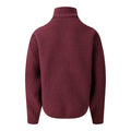 Fig - Back - Dare 2B Childrens-Kids Zesty II Fleece Jacket