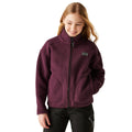 Fig - Lifestyle - Dare 2B Childrens-Kids Zesty II Fleece Jacket