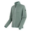 Green Haze-Spruce Green - Side - Regatta Womens-Ladies Elzie Full Zip Fleece Jacket