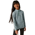 Spruce Green - Lifestyle - Regatta Childrens-Kids Hot Shot Quarter Zip Fleece Top