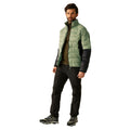 Oil Green-Black - Pack Shot - Regatta Mens Dalent Padded Jacket