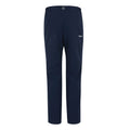Navy - Back - Regatta Mens Highton Winter Hiking Trousers