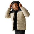 Ash Grey - Lifestyle - Regatta Mens Aldthorn Padded Jacket
