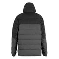 Ash-Black - Back - Regatta Mens Aldthorn Padded Jacket