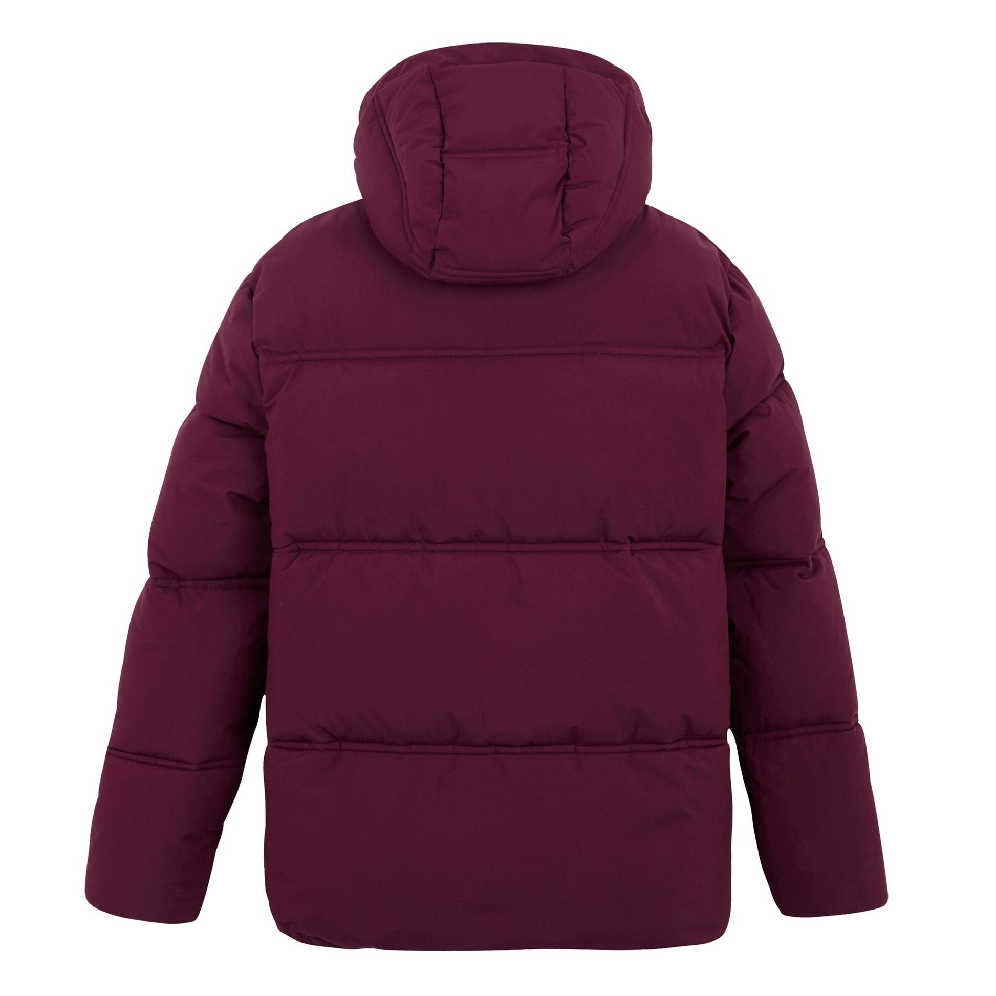 Fig - Back - Regatta Womens-Ladies Roxienne Padded Jacket