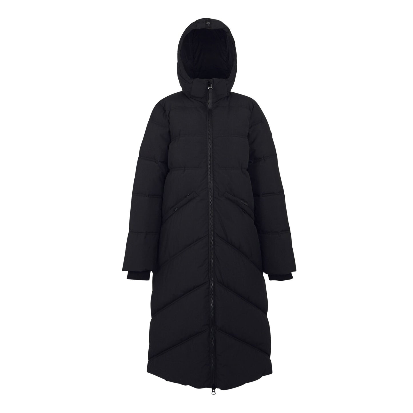 Black - Front - Regatta Womens-Ladies Ujeane Padded Jacket