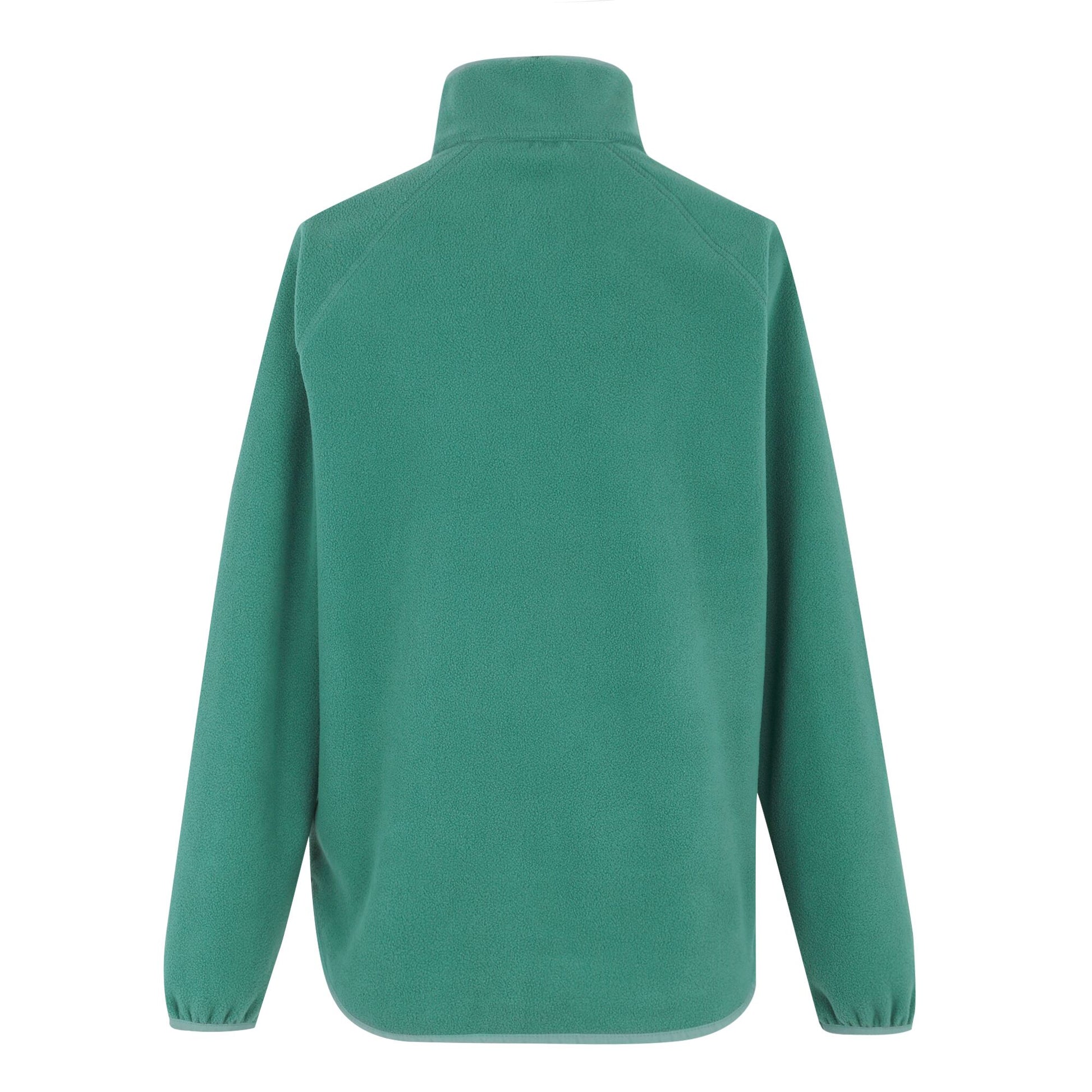 Spruce Green - Back - Regatta Womens-Ladies Frankie Quarter Zip Fleece Top