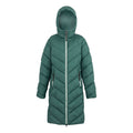 Green Haze - Front - Regatta Womens-Ladies Anita Padded Jacket