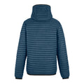 Moonlight Denim-Black - Back - Regatta Mens Rigain Padded Jacket