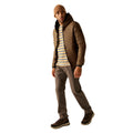 Nut Brown-Black - Pack Shot - Regatta Mens Rigain Padded Jacket