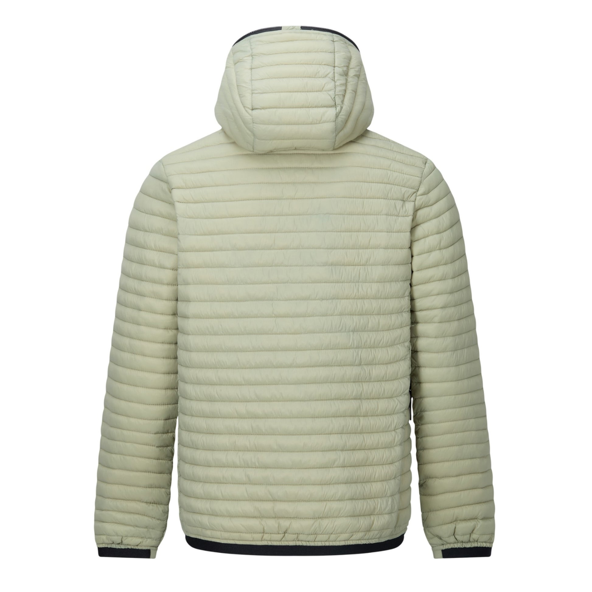 Light Sage - Back - Regatta Mens Rigain Padded Jacket
