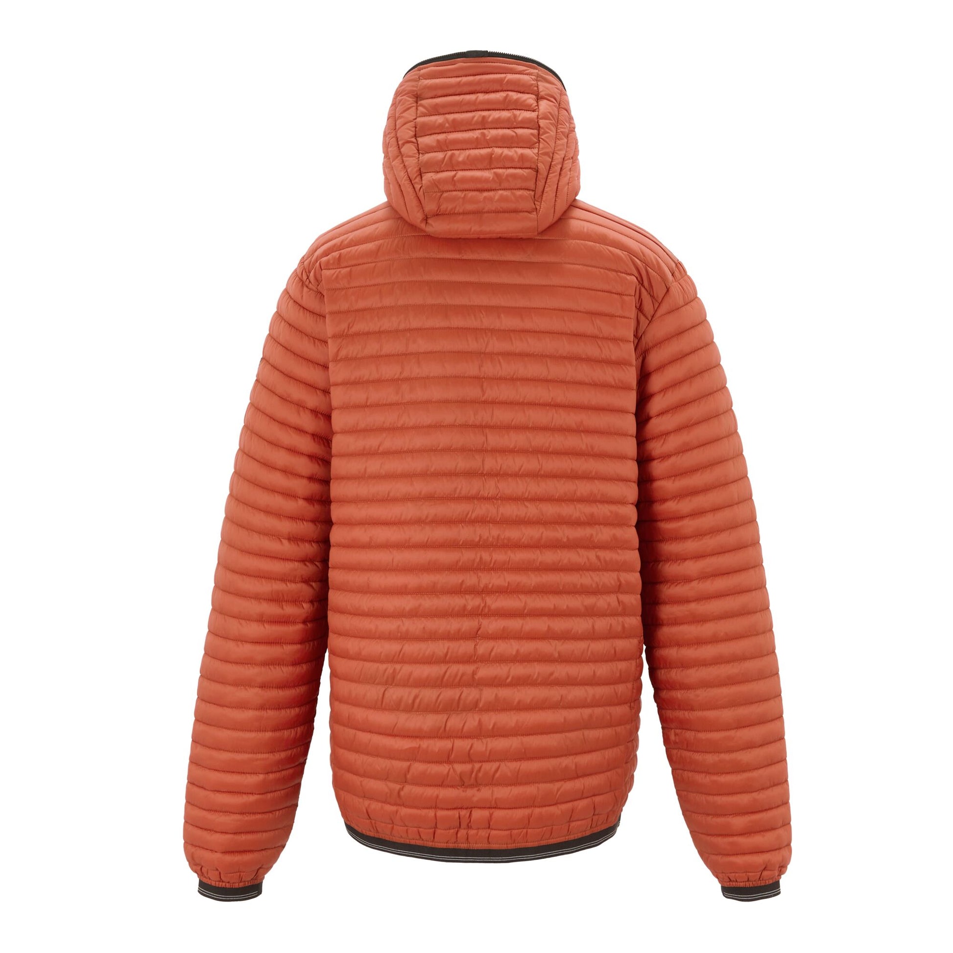 Brick Red - Back - Regatta Mens Rigain Padded Jacket