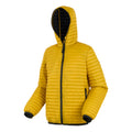 Gold - Side - Regatta Mens Rigain Padded Jacket