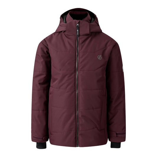 Fig - Front - Dare 2B Childrens-Kids Explore Ski Jacket