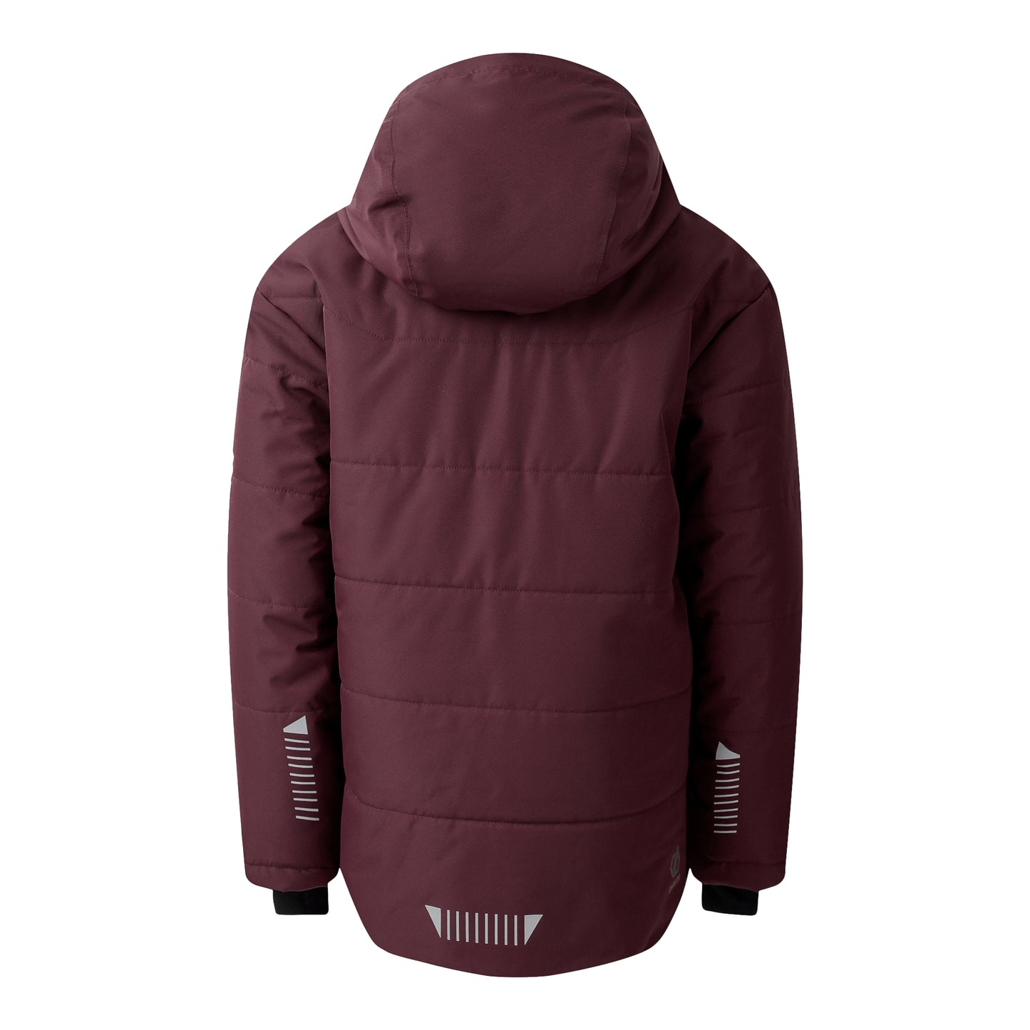 Fig - Back - Dare 2B Childrens-Kids Explore Ski Jacket