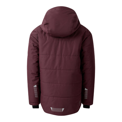 Fig - Back - Dare 2B Childrens-Kids Explore Ski Jacket