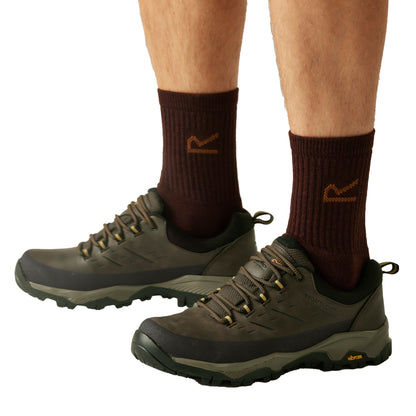 Peat-Wood - Close up - Regatta Mens Blake Low Walking Shoes