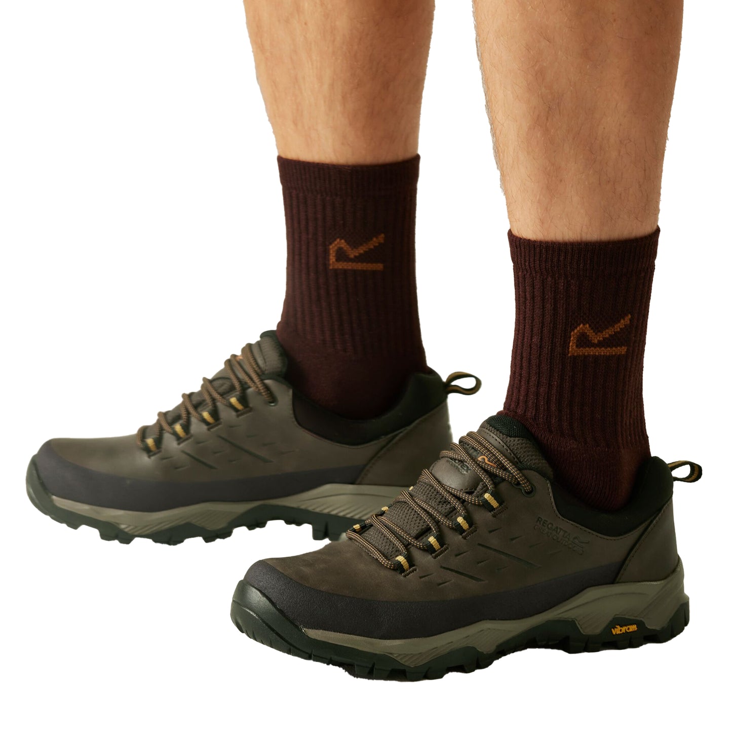 Peat-Wood - Close up - Regatta Mens Blake Low Walking Shoes