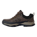 Peat-Wood - Side - Regatta Mens Blake Low Walking Shoes