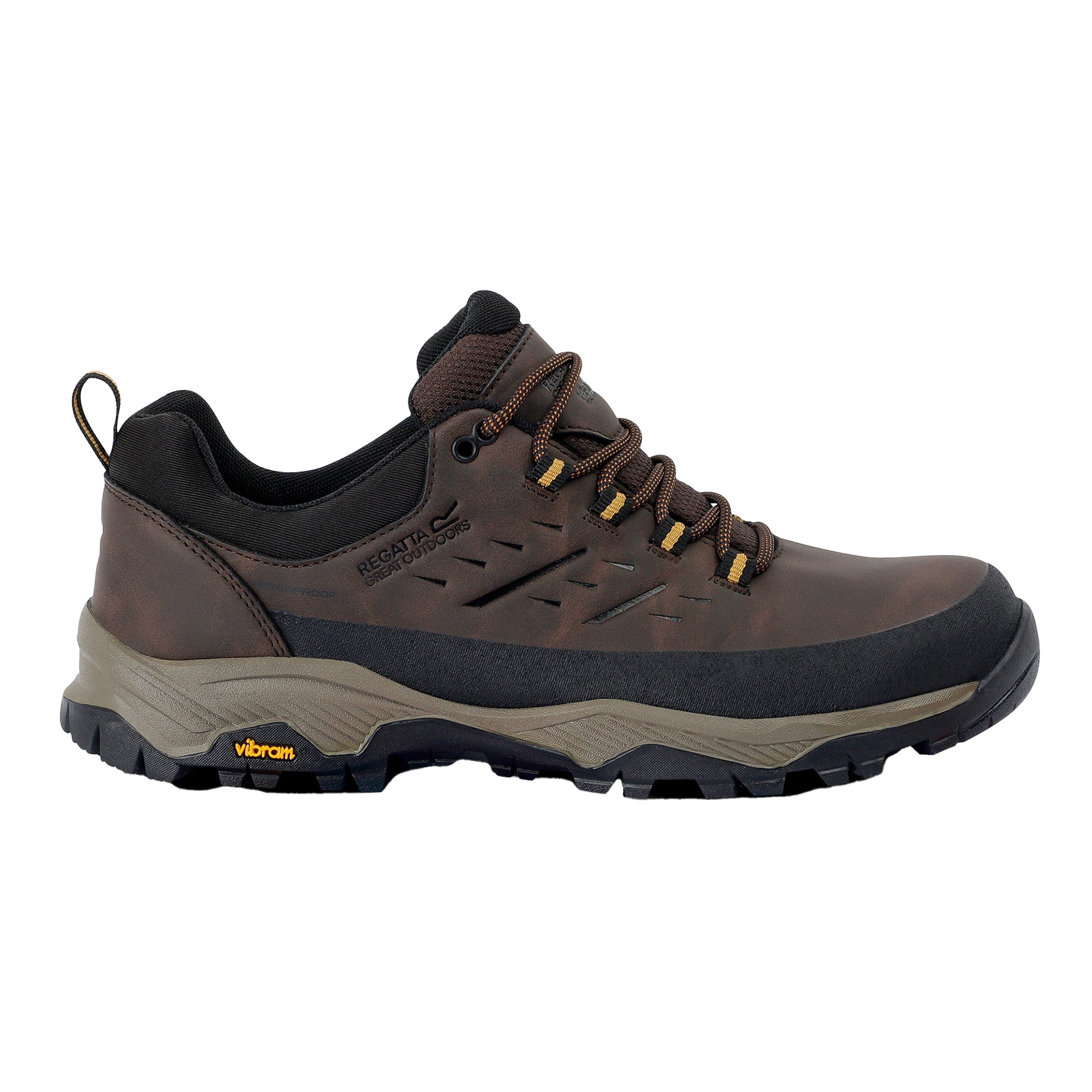 Peat-Wood - Lifestyle - Regatta Mens Blake Low Walking Shoes