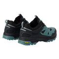 Spruce Green-Black - Back - Regatta Womens-Ladies Regen Low Walking Shoes