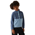 Blue Indigo-Mountain Spring - Lifestyle - Dare 2B Childrens-Kids Rapid Fleece Top