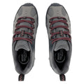 Dark Steel-Dusty Rose - Pack Shot - Regatta Womens-Ladies Edgepoint IV Low Walking Shoes