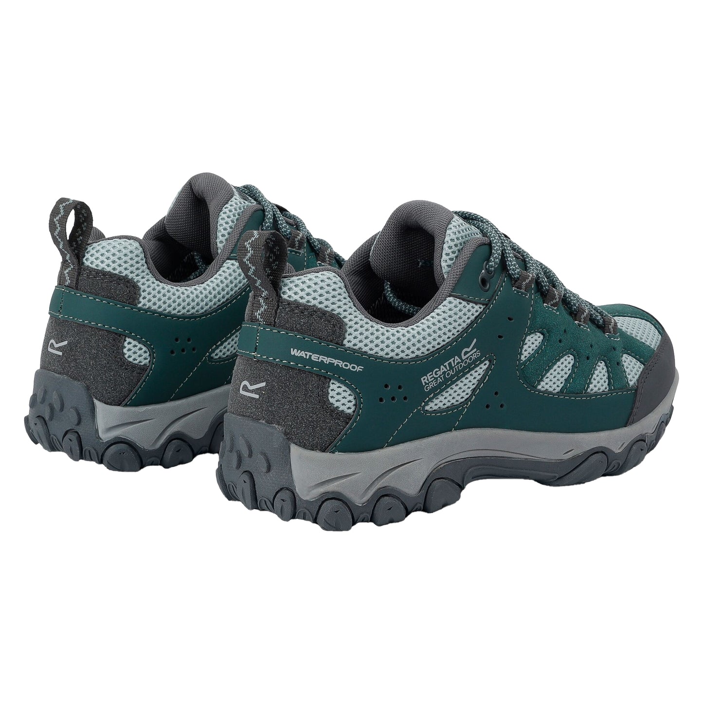 Spruce Green-Green Haze - Back - Regatta Womens-Ladies Edgepoint IV Low Walking Shoes