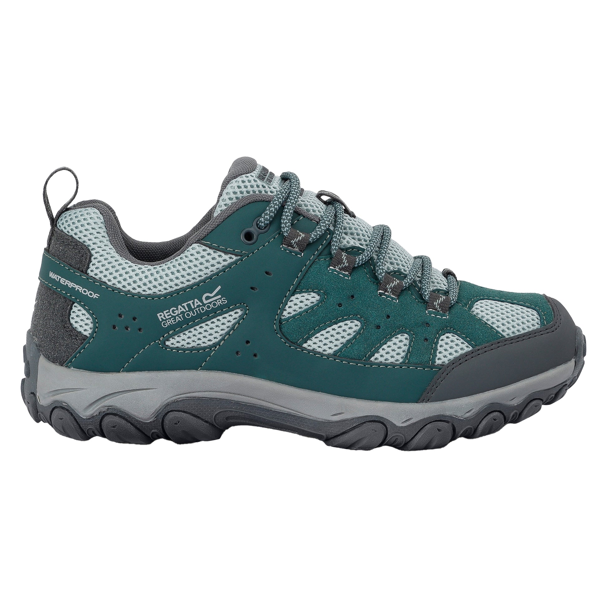 Spruce Green-Green Haze - Lifestyle - Regatta Womens-Ladies Edgepoint IV Low Walking Shoes