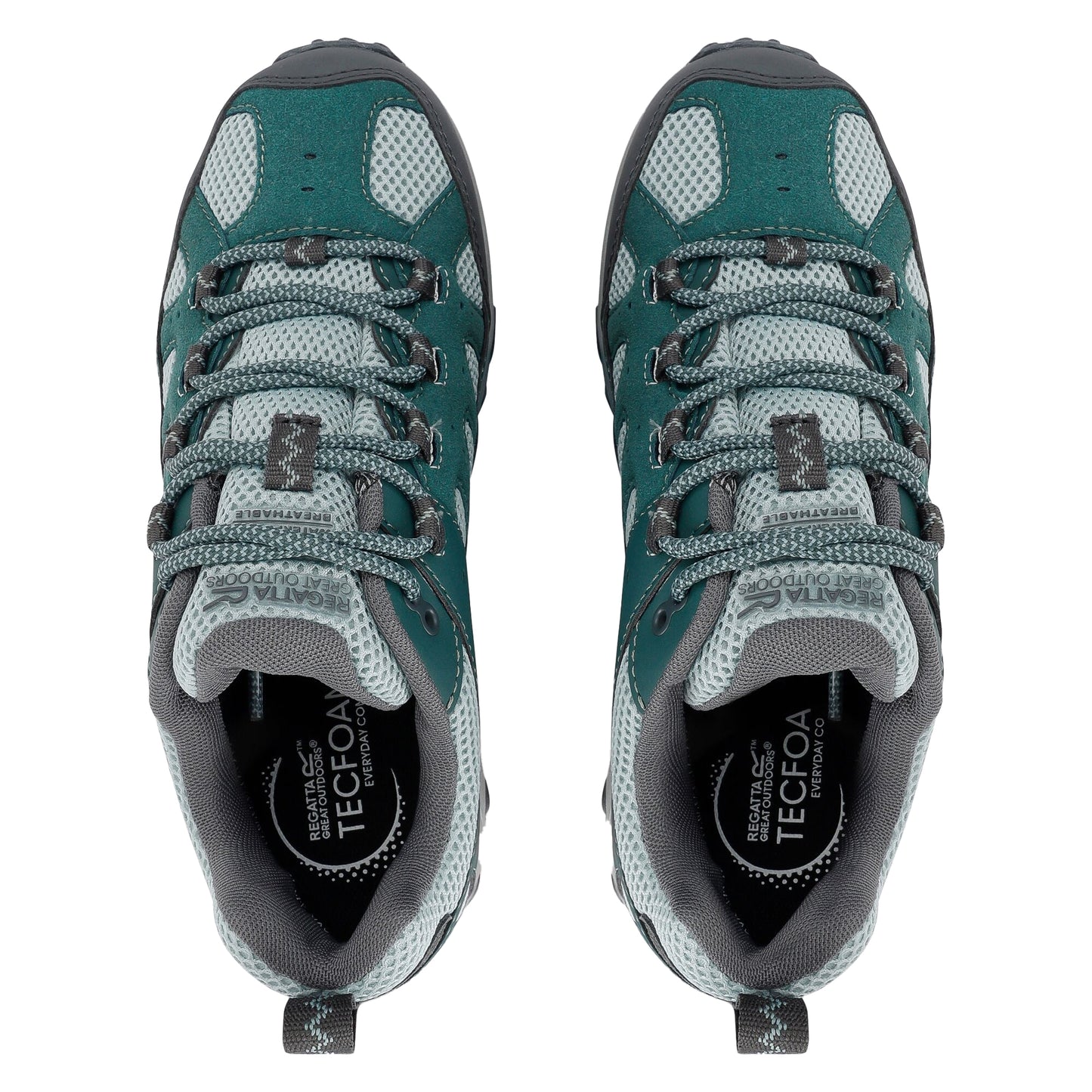 Spruce Green-Green Haze - Pack Shot - Regatta Womens-Ladies Edgepoint IV Low Walking Shoes