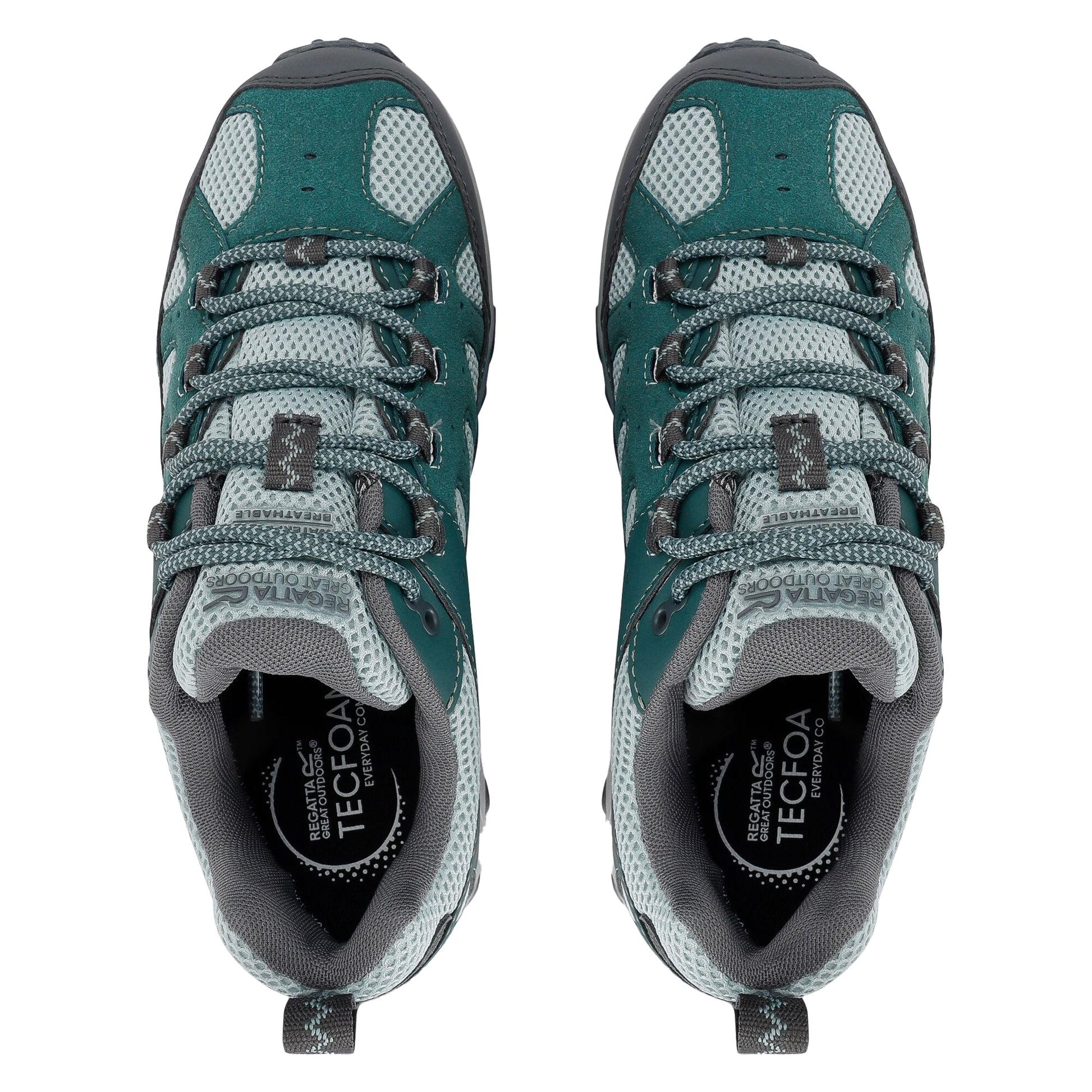 Spruce Green-Green Haze - Pack Shot - Regatta Womens-Ladies Edgepoint IV Low Walking Shoes