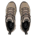 Soft Taupe-Treetop - Pack Shot - Regatta Womens-Ladies Edgepoint IV Low Walking Shoes