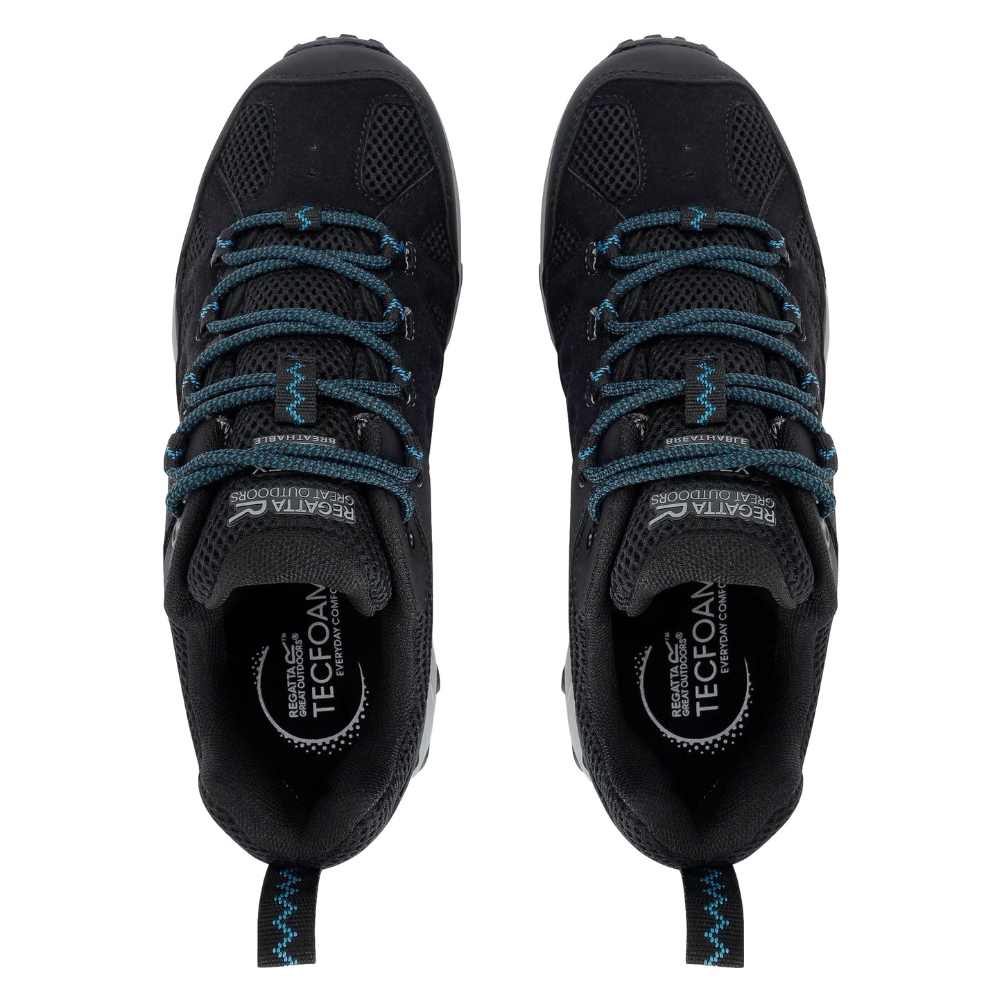 Black-Storm Blue - Pack Shot - Regatta Womens-Ladies Edgepoint IV Low Walking Shoes