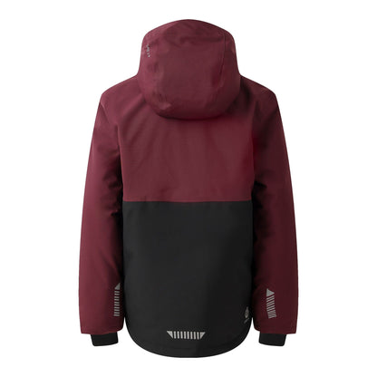 Fig - Back - Dare 2B Childrens-Kids Send It! Ski Jacket