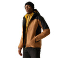 Nut Brown-Black - Pack Shot - Regatta Mens Wentwood 3 in 1 Jacket