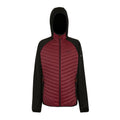 Dark Maroon-Black - Front - Regatta Mens Andreson Hybrid Jacket