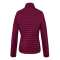 Dark Pimento - Back - Regatta Womens-Ladies Clumber Hybrid Jacket