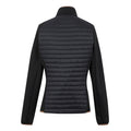 Mocha-Black - Back - Regatta Womens-Ladies Clumber Hybrid Jacket