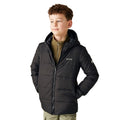 Black - Lifestyle - Regatta Childrens-Kids Halkner Padded Jacket