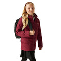 Dark Pimento - Lifestyle - Regatta Childrens-Kids Halkner Padded Jacket