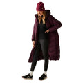 Fig - Pack Shot - Regatta Womens-Ladies Eloria Padded Jacket