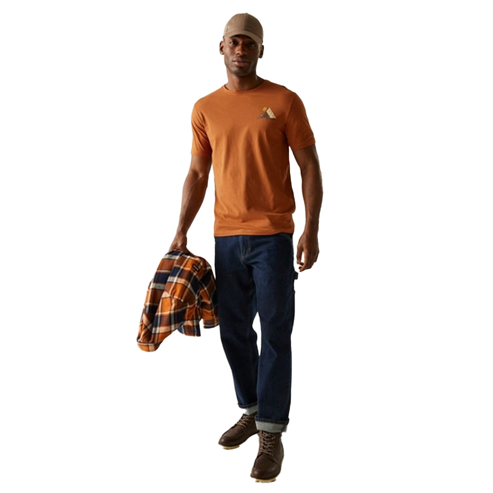 Glazed Ginger - Close up - Regatta Mens Cline IX Mountain T-Shirt