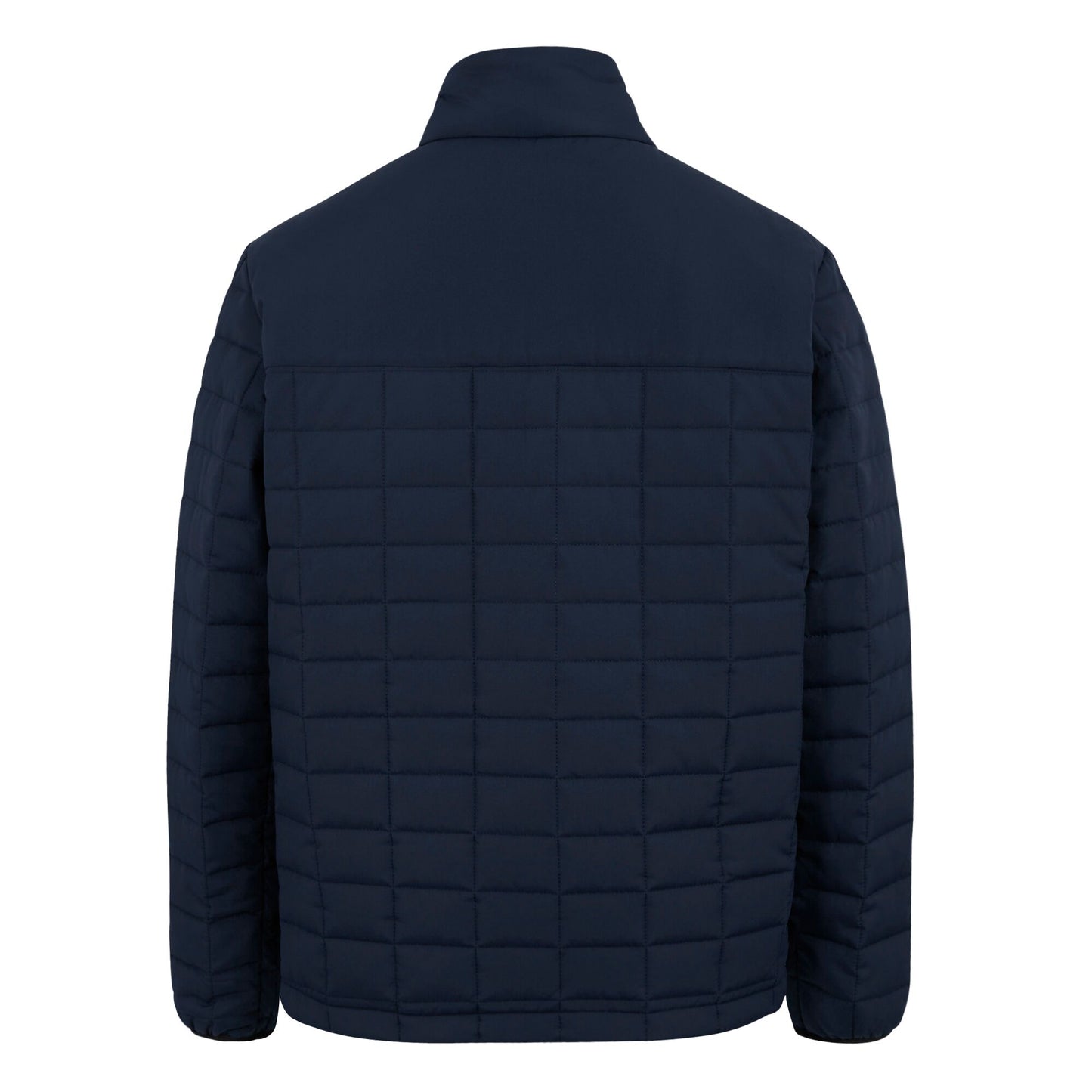 Navy-Black - Back - Regatta Womens-Ladies Haire Padded Jacket