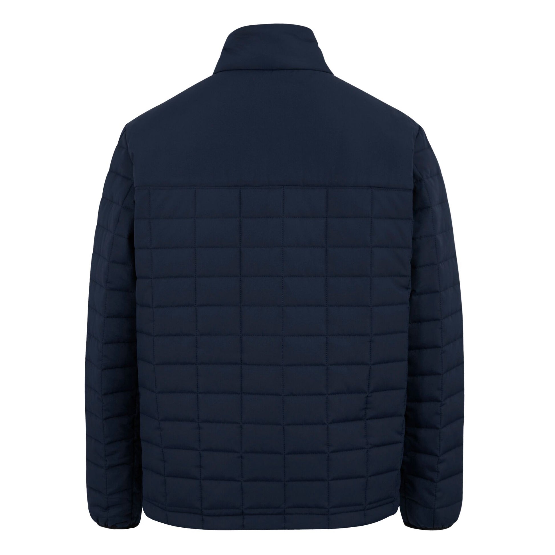 Navy-Black - Back - Regatta Womens-Ladies Haire Padded Jacket