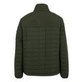 Dark Khaki-Black - Back - Regatta Womens-Ladies Haire Padded Jacket