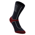 Dark Grey-Rio Red - Back - Regatta Mens Merino Wool Hiking Socks